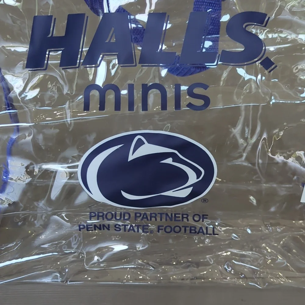NWOT Penn State PSU Nittany Lions Clear Blue Gameday Tote Bag 12